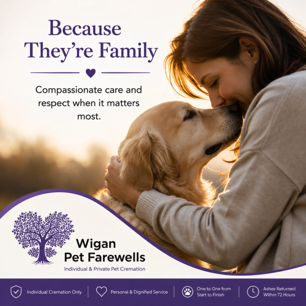 wiganpet1