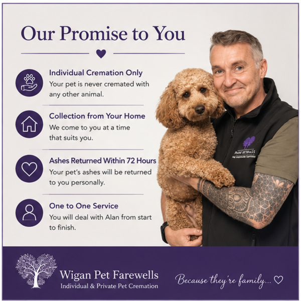 wiganpet4